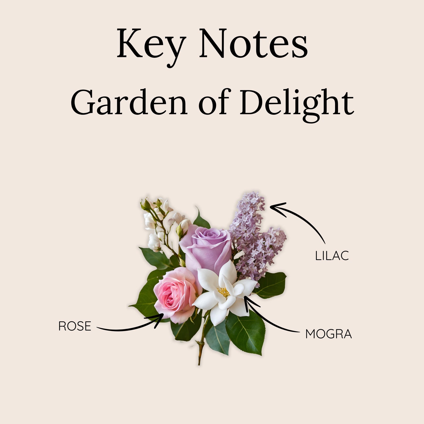 Garden Of Delight