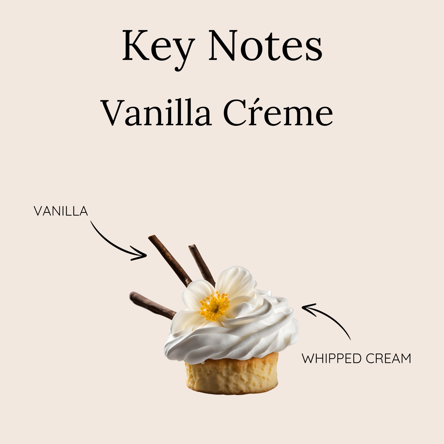 Vanilla Crème